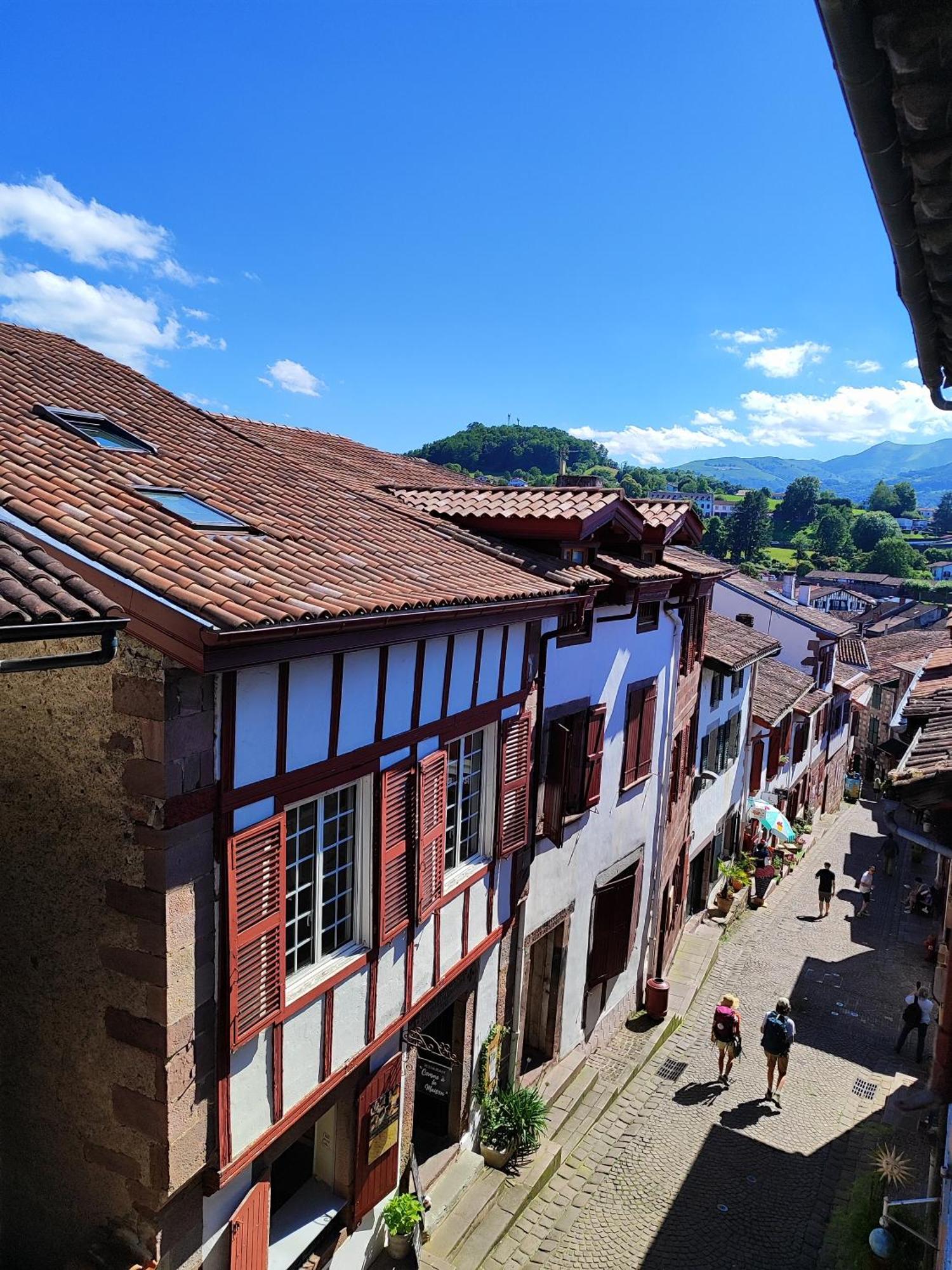 L'Auberge Du Pelerin - St Jean Pied De Port Сен-Жан-П'є-де-Пор Екстер'єр фото